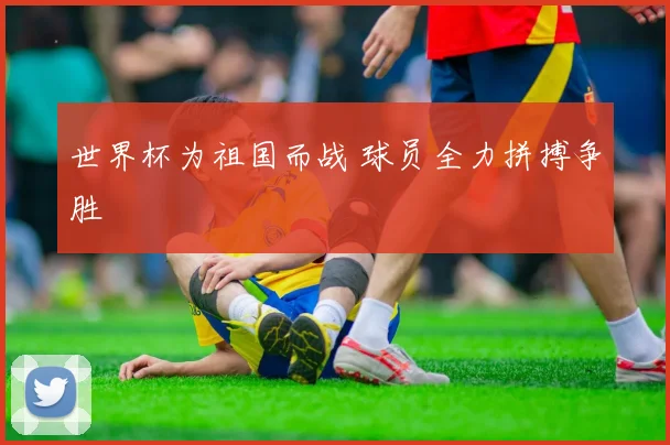 世界杯为祖国而战 球员全力拼搏争胜