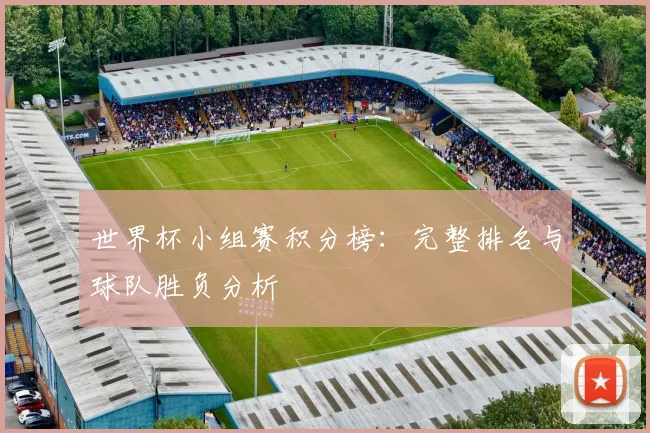 世界杯小组赛积分榜：完整排名与球队胜负分析