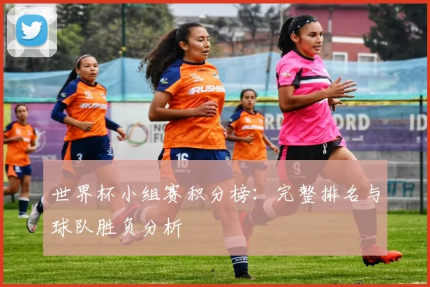世界杯小组赛积分榜：完整排名与球队胜负分析